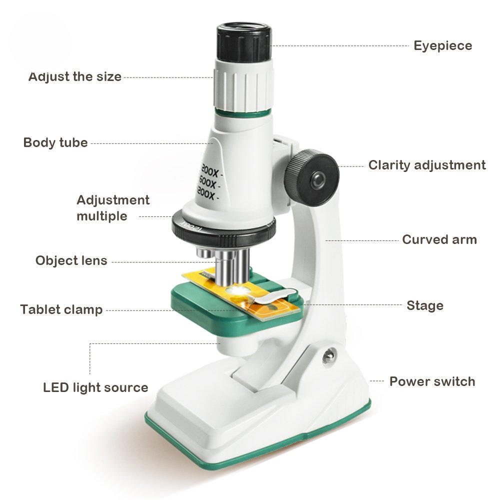 microscope 2