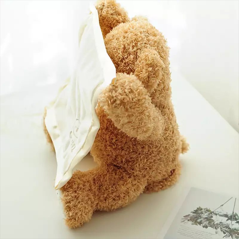 Peekaboo bear 2