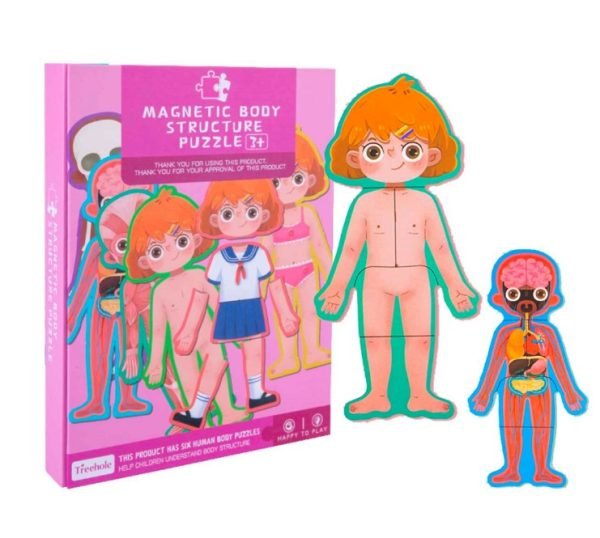 magnetic body structure puzzle