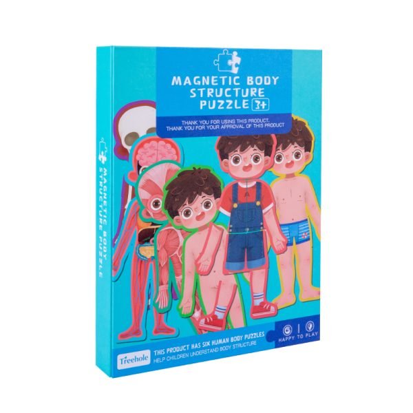 magnetic body structure puzzle