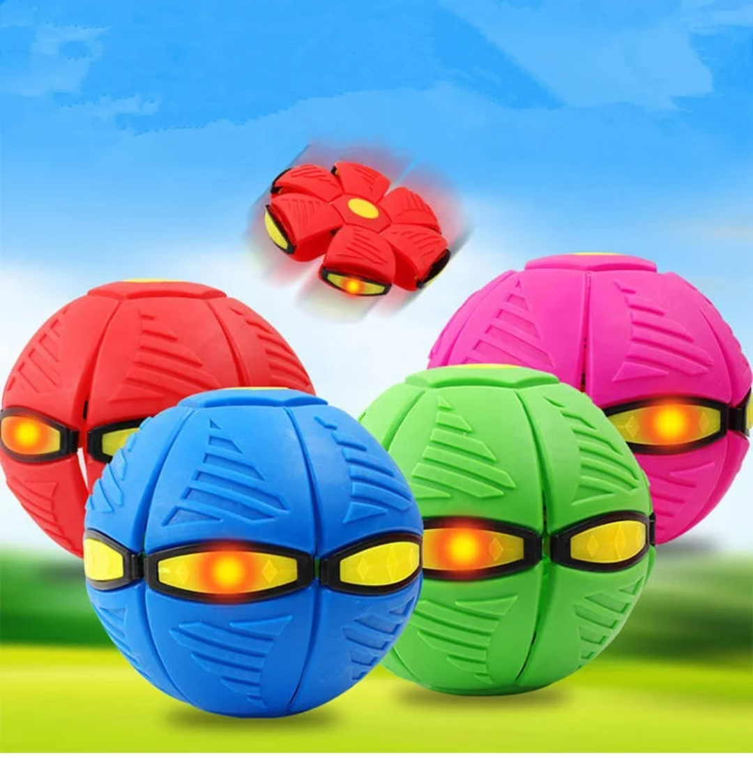 Flying Disc ball 4