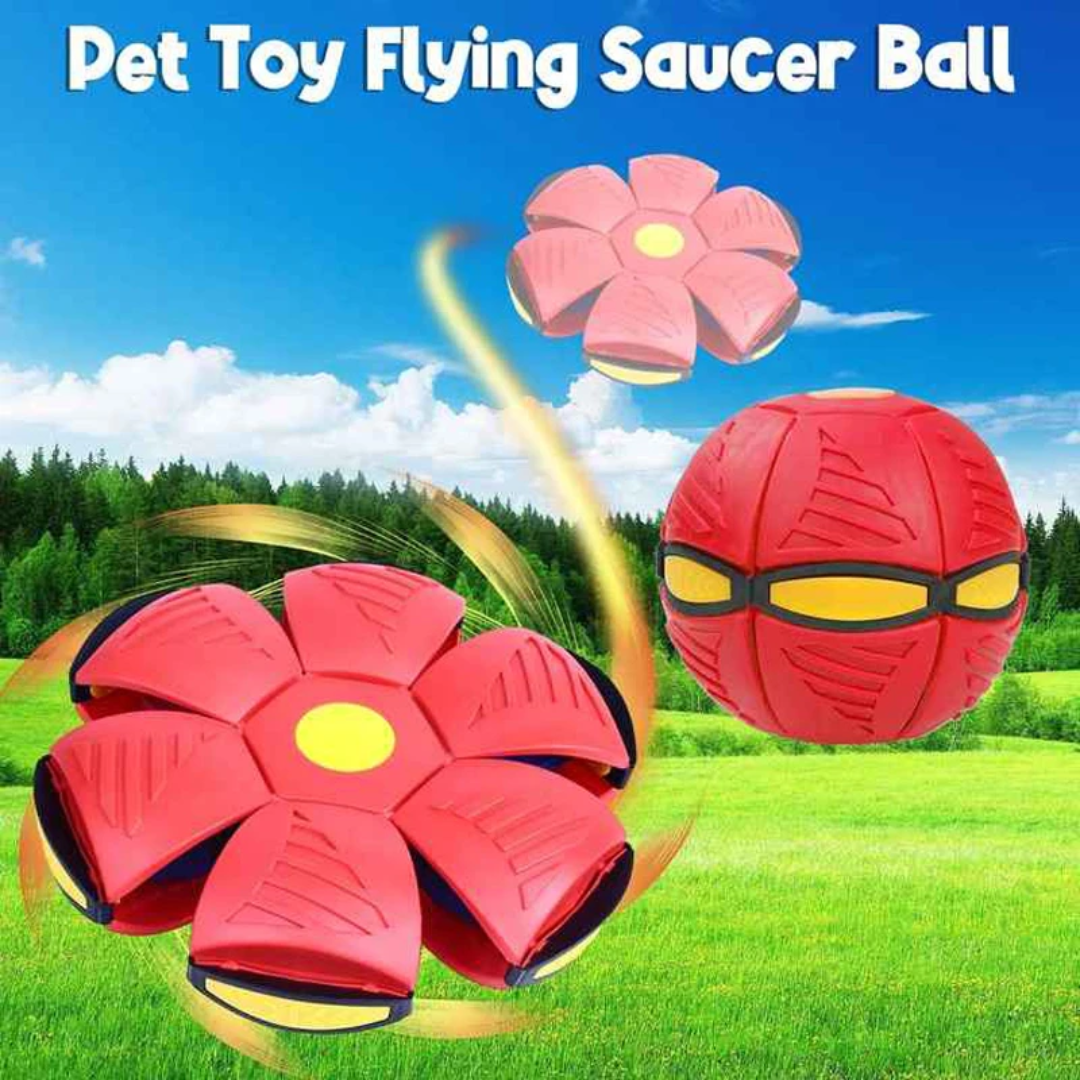Flying Disc ball 3
