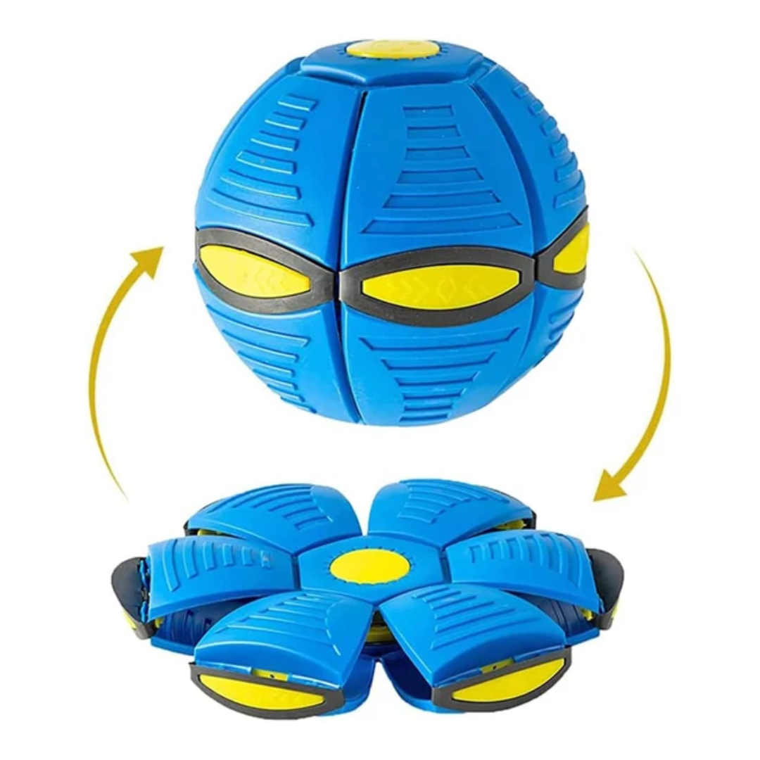 Flying Disc ball 5